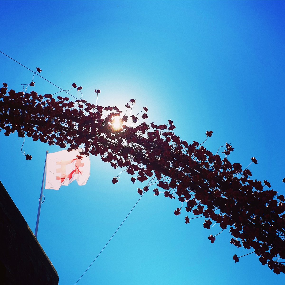 Poppies: Weeping Window. Absolutely stunning.