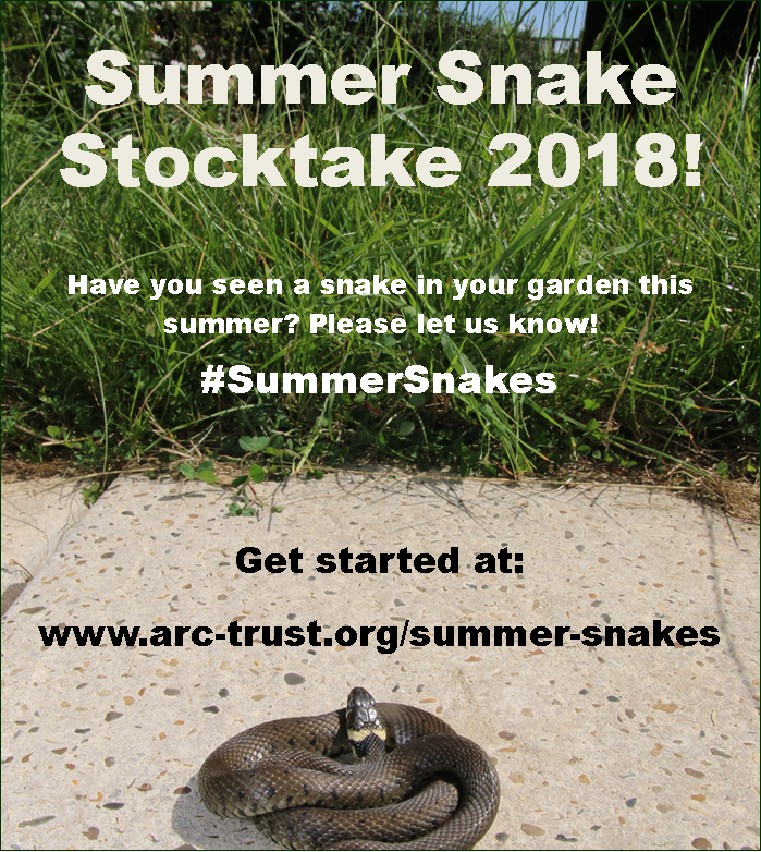 ARC_Bytes's tweet photo. #Snake populations are declining across the UK &amp; gardens can be important wildlife corridors between disappearing habitats. If you've been lucky enough to have a scaly visitor in your #garden, please take part in #SummerSnakes Stocktake 2018 🐍 by visiting https://t.co/tIYzGsCGYM https://t.co/vPTXKS1pvp