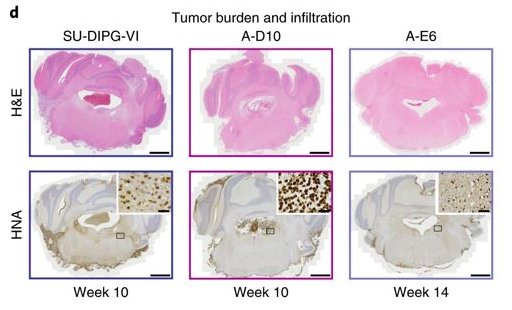 download A Real Mind: The Life and Work of Axel