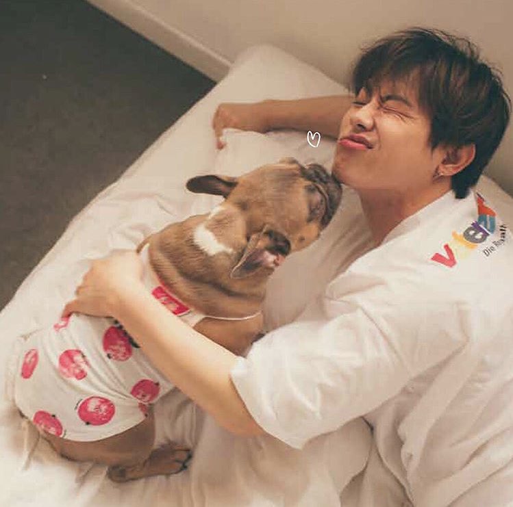 bbuk_jh's tweet photo. 飼い犬と触れ合ってる時のゆぐは、お父さん感すんごくて自然で好き https://t.co/U80GHuFQG5