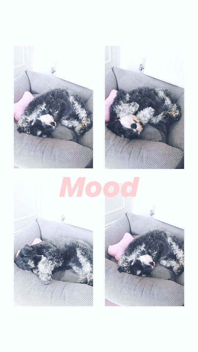 Hattie West tweet media