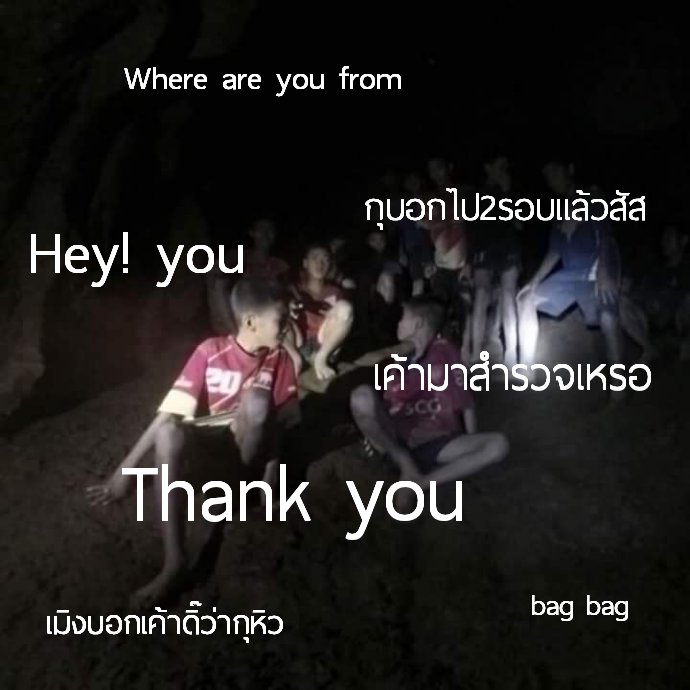ชาไข่แมวมองบน tweet media