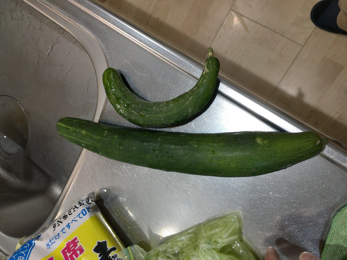 キュウリを植えてしまった者はこの季節 キュウリを無限に食べなくてはならない ちょっと目を離すとこうなる 雨が降ると途端に大きくなる Togetter キュウリを植えてしまった者はこの季節 キュウリを無限に食べなくてはならない ちょっと目を離すとこうなる 雨が降ると途端に大きくなる Togetter