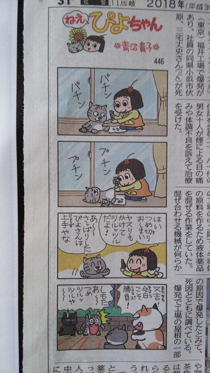 ありノ W ノ゙ ふぁぼ魔 ほんとぴよちゃんいつも又吉のお世話してて偉い 爪切ってもじっとしててくれる又吉羨ましい ねえぴよちゃん ありノ W ノ゙ ふぁぼ魔 ほんとぴよちゃんいつも又吉のお世話してて偉い 爪切ってもじっとしててくれる又吉羨ましい ねえぴよちゃん