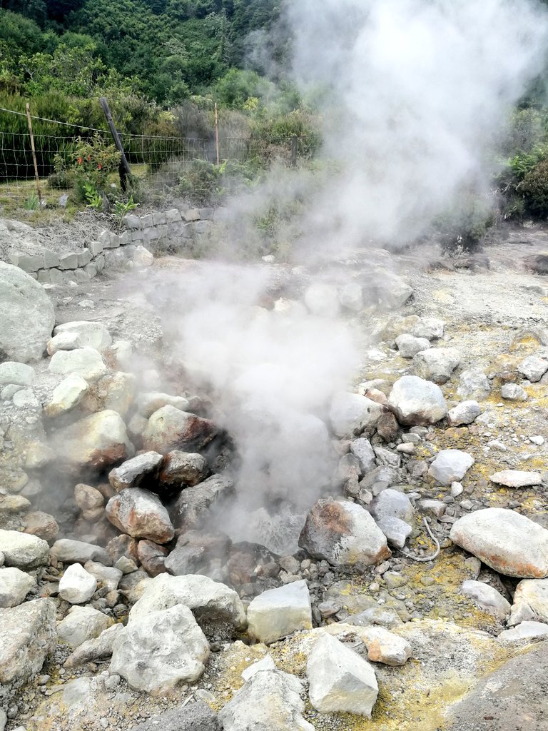 VolcanicAsh__'s tweet image. Having a great time so far with @IC_Geophysoc out in the Azores! Calderas, fumaroles, hot springs and thermal pools ~ 🌴🌋🌟 #gpsazores18