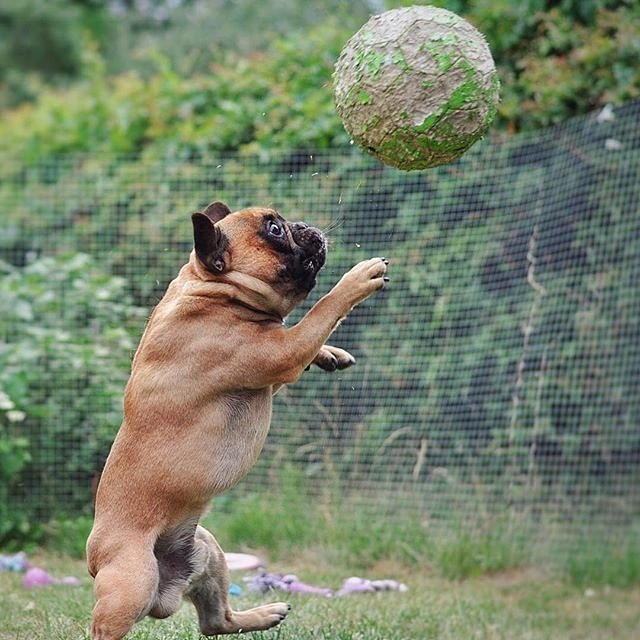 cm4soccer's tweet photo. Everyone's excited for #CM4Soccer camp to get underway! #1week https://t.co/2fwKllhGEh
