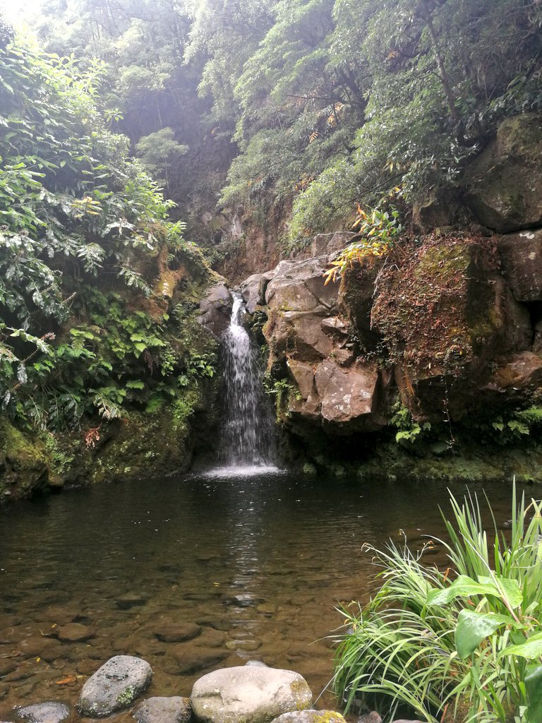VolcanicAsh__'s tweet image. Having a great time so far with @IC_Geophysoc out in the Azores! Calderas, fumaroles, hot springs and thermal pools ~ 🌴🌋🌟 #gpsazores18