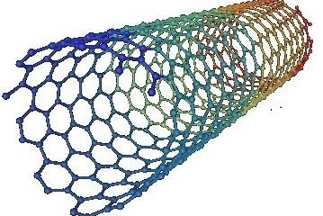 online Genetic Resources, Chromosome