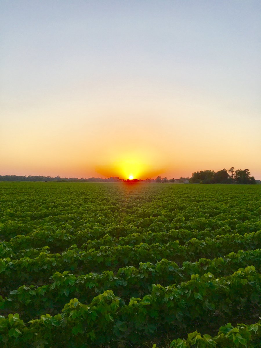The #sun is setting on another day on the #farm. Take a moment and enjoy the #littlethings. 

#Turnrows