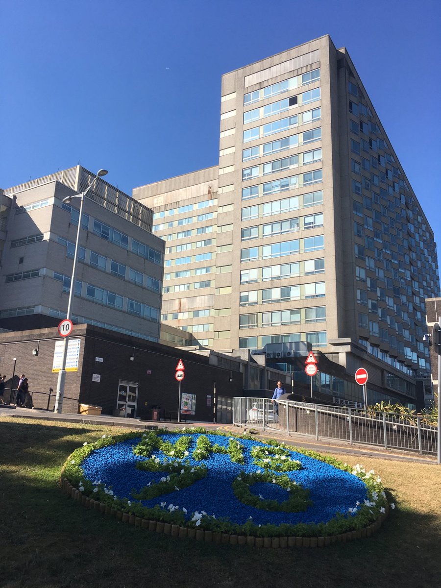 rhian_bishop's tweet photo. Thanks to the hallamshire gardeners @sheffieldhosp for this #NHS70 flower bed - looking lovely in the sun this evening https://t.co/PsZxfj32oE