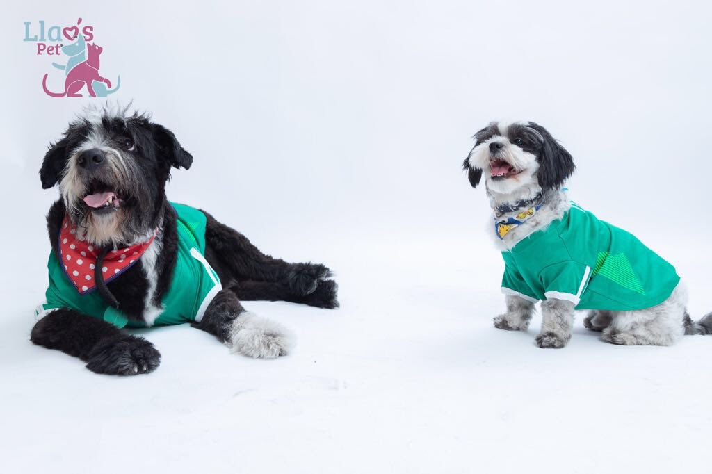 Fernanda Delgadillo | Mujer Genial💫 tweet media