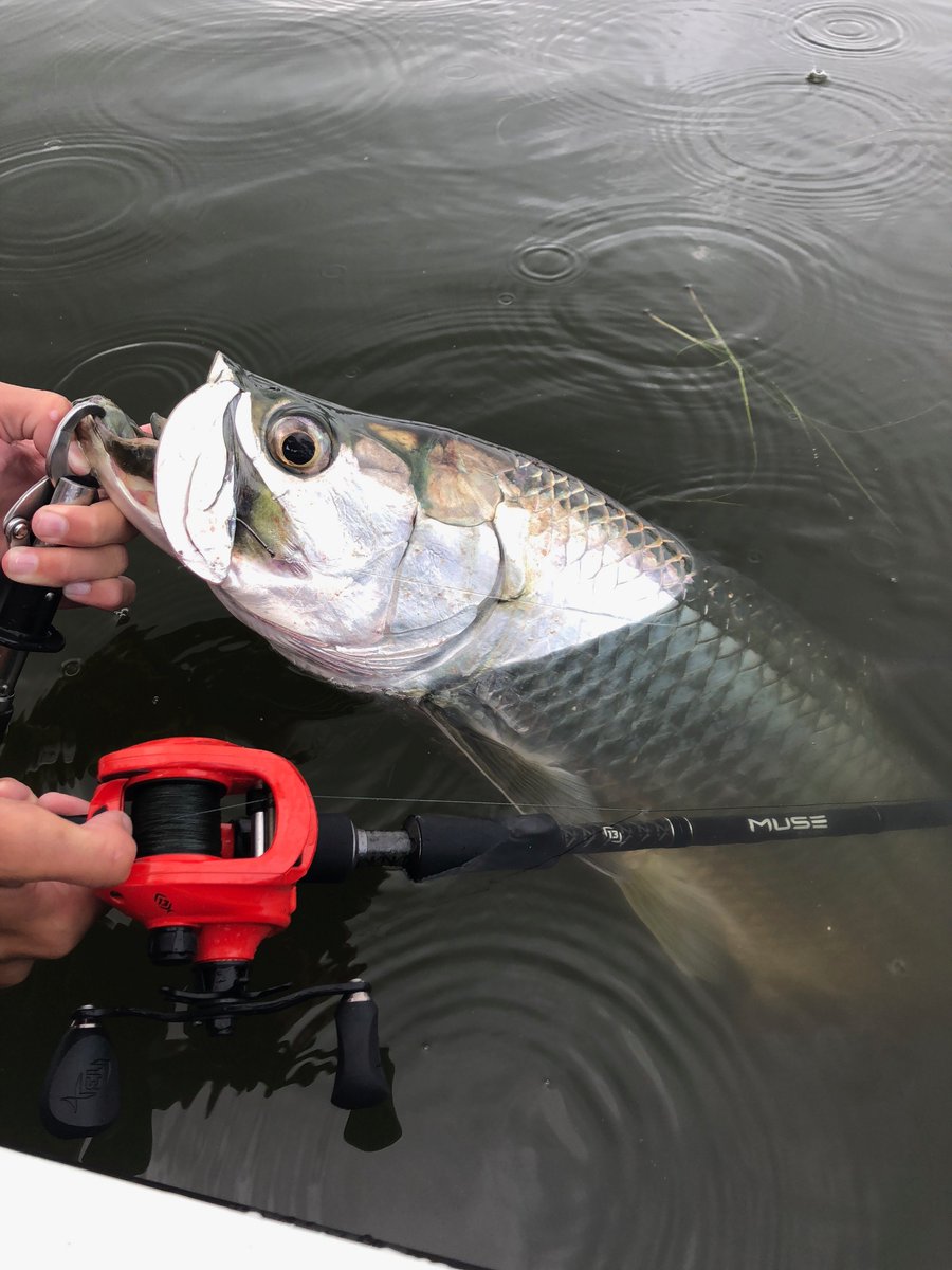 13 fishing muse black