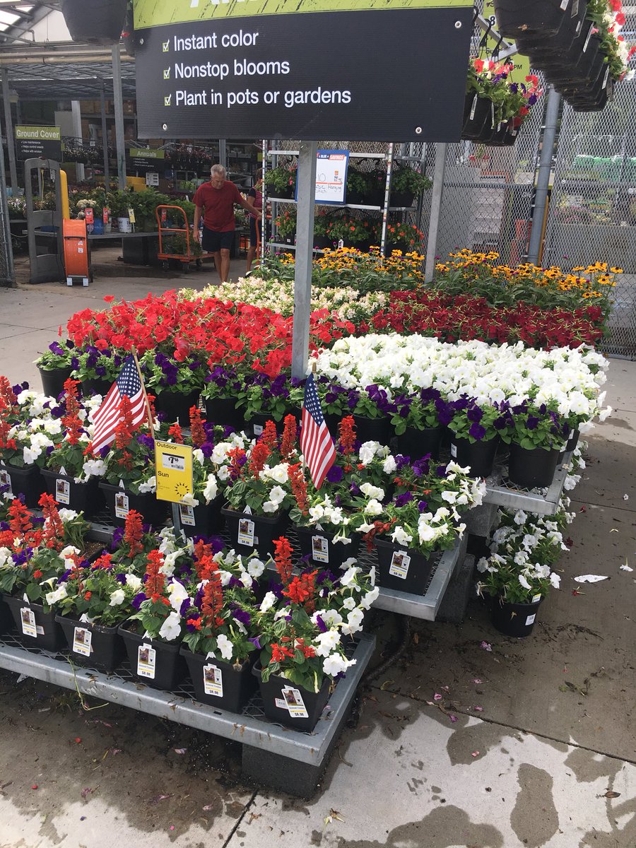 7Karthur's tweet photo. 🇺🇸@BABadeaux and @Brandimm82 have red, white &amp; blue annuals at Home Depot Lenoir City! Just in time for your 4th of July get together!🇺🇸 #HD740 #Knoxville @jaybisping @Jaydeckard @VWIGreenhouse @CamDaven @GuinnJeff https://t.co/MUNU2CToiD