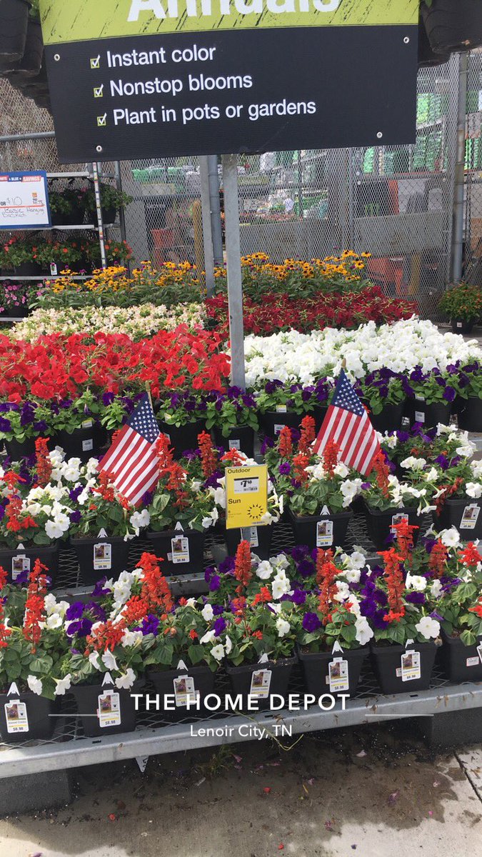 7Karthur's tweet photo. 🇺🇸@BABadeaux and @Brandimm82 have red, white &amp; blue annuals at Home Depot Lenoir City! Just in time for your 4th of July get together!🇺🇸 #HD740 #Knoxville @jaybisping @Jaydeckard @VWIGreenhouse @CamDaven @GuinnJeff https://t.co/MUNU2CToiD