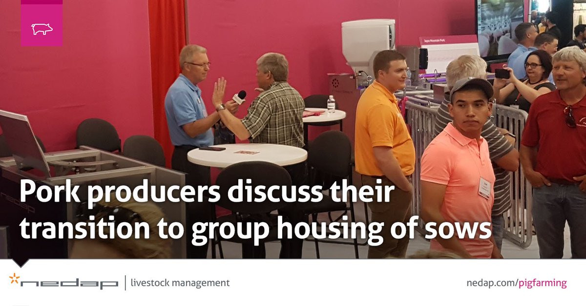 🎧 Audio: Pork producers Tim Friedel of Thomas Livestock and Chet Mogler of Pig Hill shared their experience with their transitions from gestation stalls to group gestation pens. Hear their interviews from World Pork Expo: ow.ly/eDbK30kMEPB