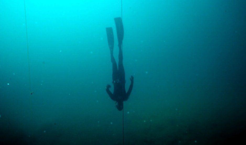 Médium Large tweet media