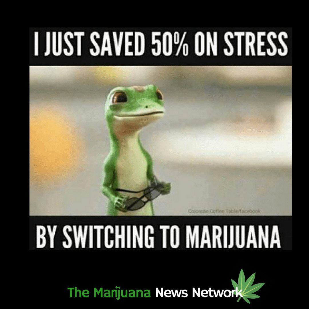 themarijuananew's tweet photo. https://t.co/dCMycMSha7