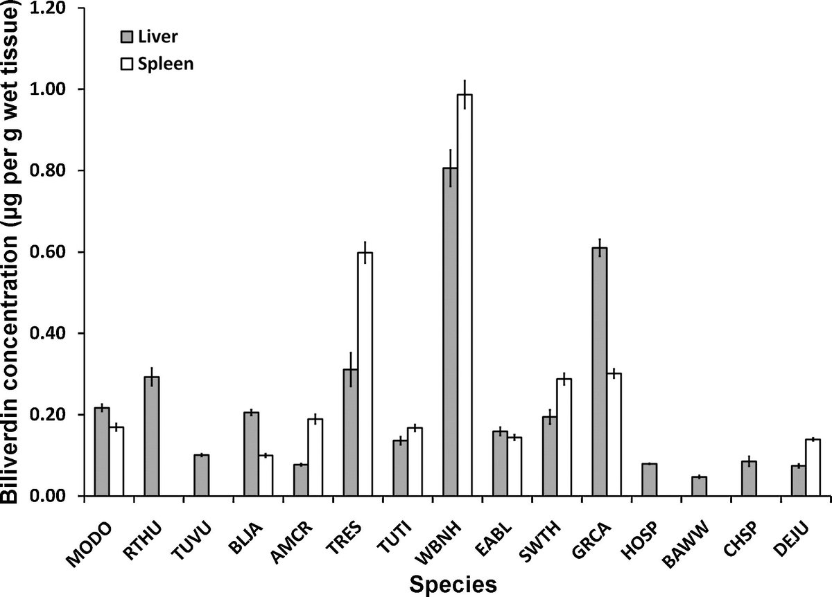 AukJournal's tweet image. From 2016: Quantifying biliverdin in liver and spleen samples from multiple avian species americanornithologypubs.org/doi/full/10.16… #OA #ornithology
