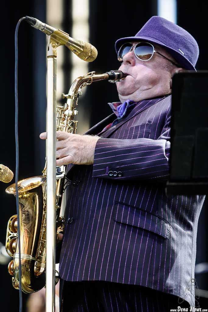 Dena Flows tweet media