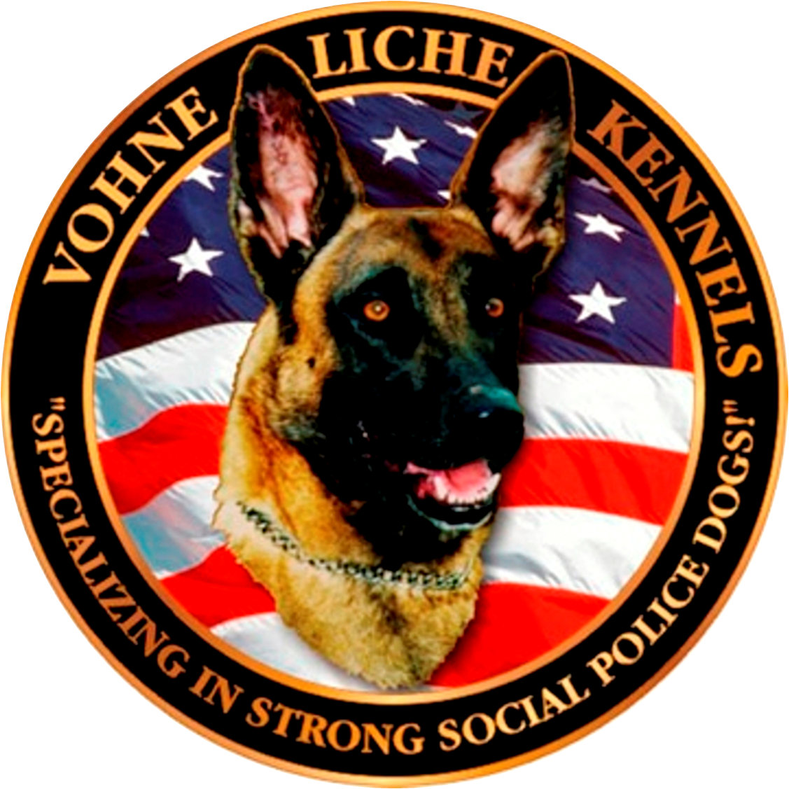 VLKInc's tweet image. Happy Independence Day from the Vohne Liche Family!

Have a safe and happy holiday as we celebrate our Nation's independence tomorrow.