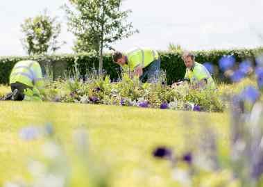 We would like to express our support and gratitude to George McDermott &amp; <a href="/BuncranaTT/">BuncranaTidyTowns</a> for the tremendous work carried out in Buncrana and the surrounding areas. The effort, commitment &amp; time can be seen in the beautiful, litter-free displays throughout the town. Great work guys!