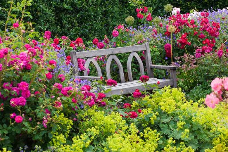 ramblingsloa's tweet photo. Sometimes, simply by sitting
The soul collects wisdom.

Zen Proverb https://t.co/s4HnuogHUY