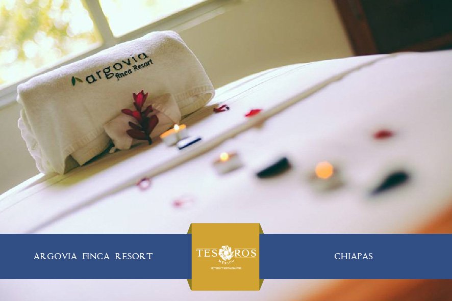 "La celebración de los sentidos"
Un lugar para meditar, descansar y estar en armonía contigo.