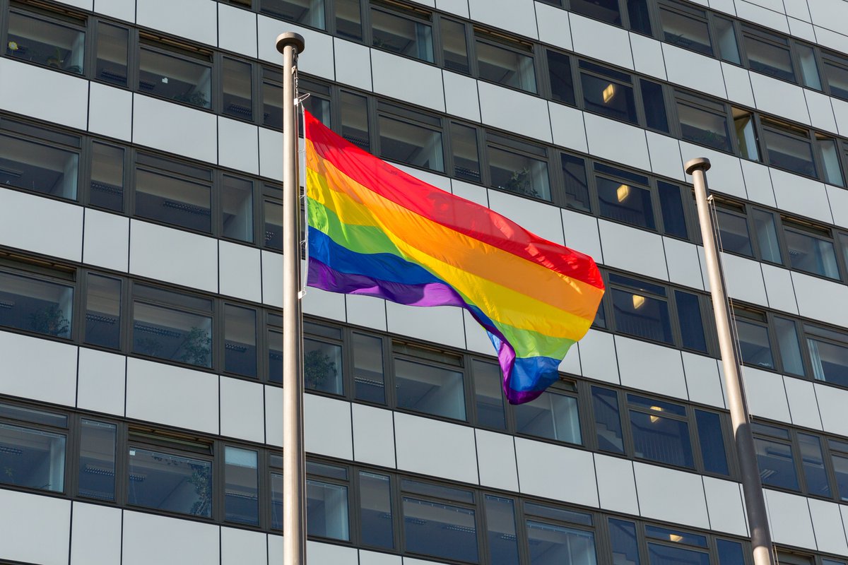 BerlinUAlliance's tweet photo. Gegen Homo- und Transphobie: @HumboldtUni, @FU_Berlin und @TUBerlin haben anlässlich der Pride Weeks in #Berlin ihre #Regenbogenflagge|n gehisst. 🏳️‍🌈🙌 #Pride #Diversity #BerlinUAlliance #BrainCityBerlin https://t.co/Cr0PkBRwPx