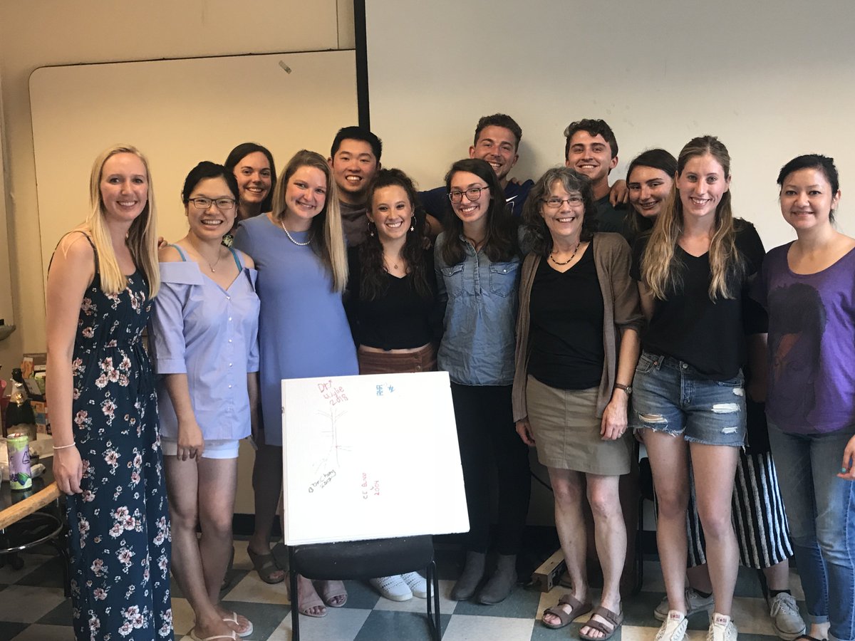 Bautch Lab tweet media