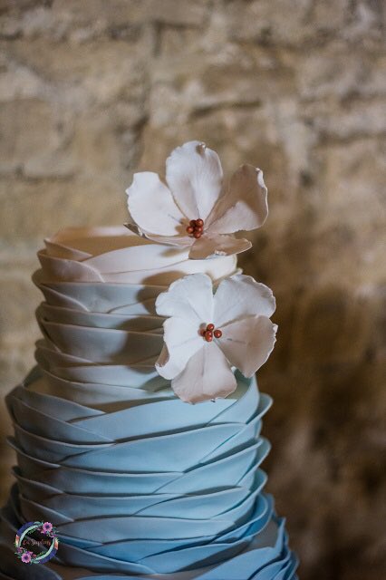 Celebrating 4 years of Hanami Dream this week! Yes there will be cake. 
hanamidream.co.uk/celebrating-4-…
Now 310 blog posts later and a <a href="/UKBlogAwards/">UK Blog Awards</a> under my belt recently. Not bad for 4 years!
<a href="/farrowphoto/">Sandra Lawrence</a> #squibphotography @cotswoldsphotog <a href="/Prettycakeco/">theprettycakecompany</a> <a href="/SiedlerMichelle/">TheCakeElementBakery</a>