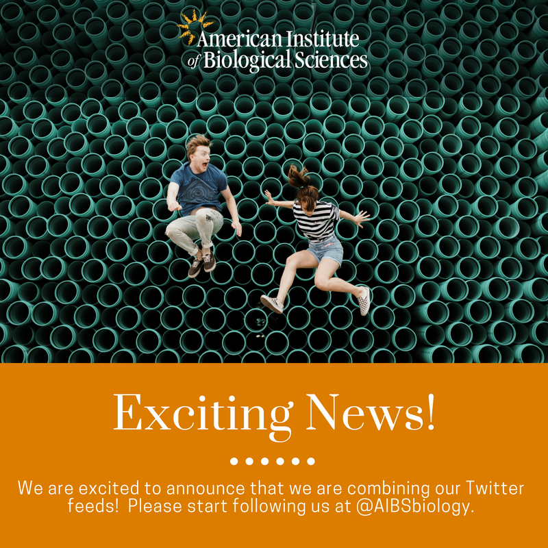 AIBS_SPARS tweet media