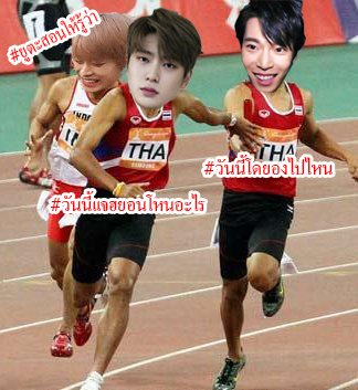 กระดิ่งในคอแมว tweet media