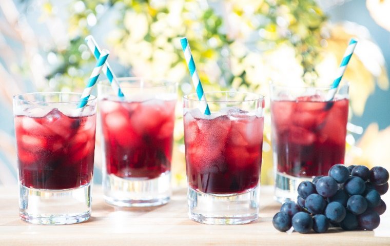 TodaysDietitian's tweet photo. #ad Thanks for stopping by the @Welchs booth at #TDinAustin! For Concord grape resources and research, visit: https://t.co/UkupBcpcTp https://t.co/quLajUdkJc