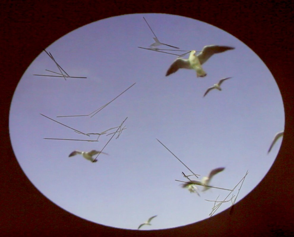 baby_forest's tweet image. Great to see Baby Foresters collaborating!  'Silent Sounds' 21-22 July. An exhibition of collaborative #videoinstallation and #drawing by #ChloeLeaper &amp;amp; #LynnDennison   babyforest.co/broadcasts/1755