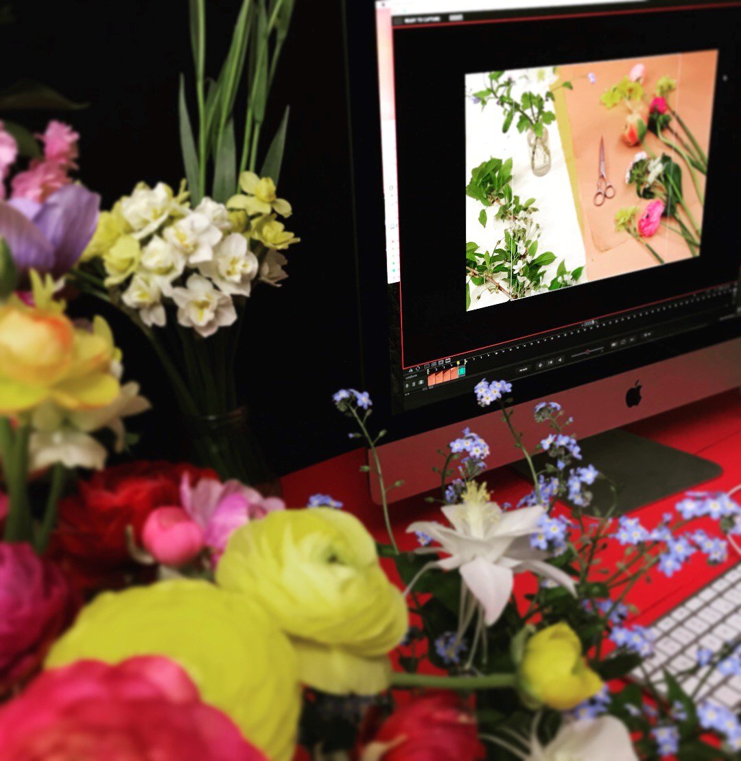 FreelanceDir's tweet photo. Here's a still from Rebecca Gower's BTS for Bloom and Burn Florist. #tuesdaymotivation #femaledirector https://t.co/qDcKIMXAWX
