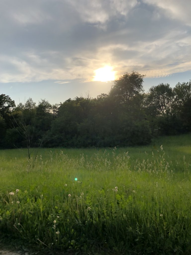 Summer time lake life