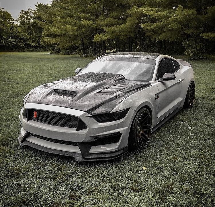 only_mustangs's tweet image. A Queen 👑🔥