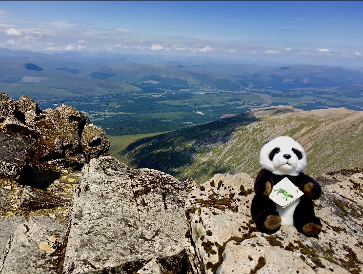 Peaky_Climbers's tweet photo. Our amazing mascot took a practice run up Ben Nevis this weekend to ensure we have the best route set out in preparation for October. Another incredible view 😍#threepeaks #bennevis #charity #wwf #samh #stlukesplymouth #lifeatsky #workforsky #view https://t.co/iBSnOWywu3