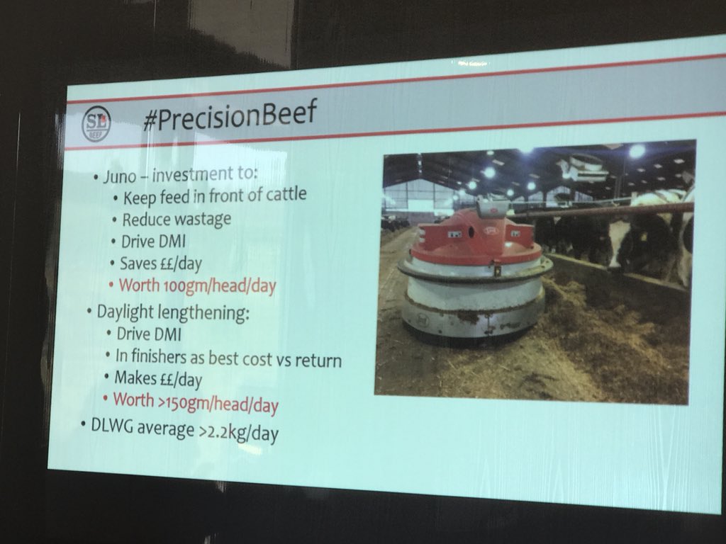tommythevet's tweet image. What a great morning with @robdvet 

#integratedbeef 
#precisionbeef

Management at the highest level.

Data that’s being used to drive performance.

Very impressive attention to detail
Lighting the way....

#nuffieldag