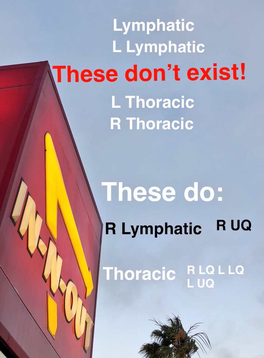 SnapSPT 👻 tweet media