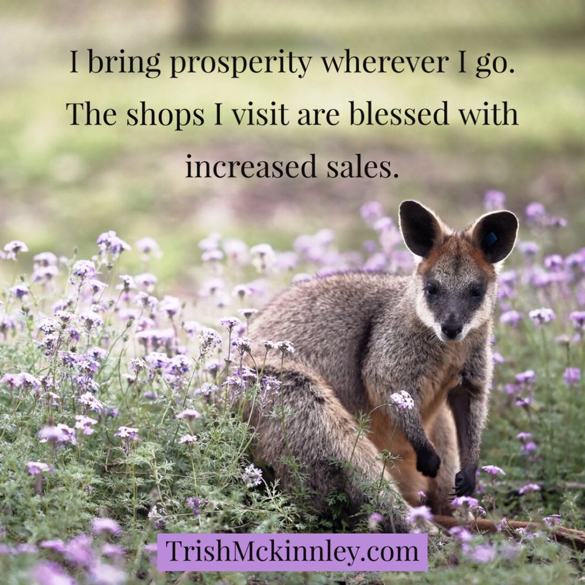 The Handoff Teacher\\'s