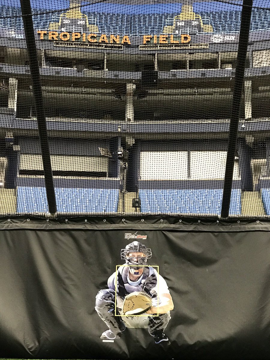 prostrikezone's tweet photo. Win a Prostrikezone by Retweeting, and or posting a pic of yours in your cage or turtle, join #MLB teams, #MiLB teams, #D1 #D2 #D3 #NAIA #JuCo #HS  &amp; Softball teams. Baseball &amp; Softball’s most realistic patented BP target @RaysBaseball @ClemsonBaseball @MonteLeeCU @SheafferDanny https://t.co/n5H03oypEH
