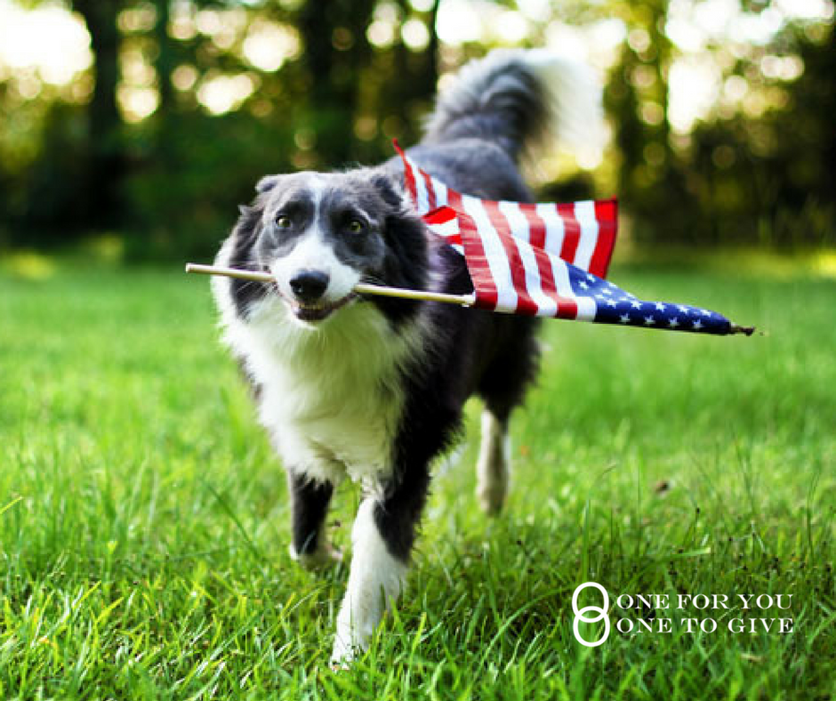 GiveBracelets's tweet photo. We give a portion of all bracelet sales to @bestfriends Animal Society!
Remember to keep your four-legged friend safe from Fireworks tomorrow :) https://t.co/VTOH3ewGZZ