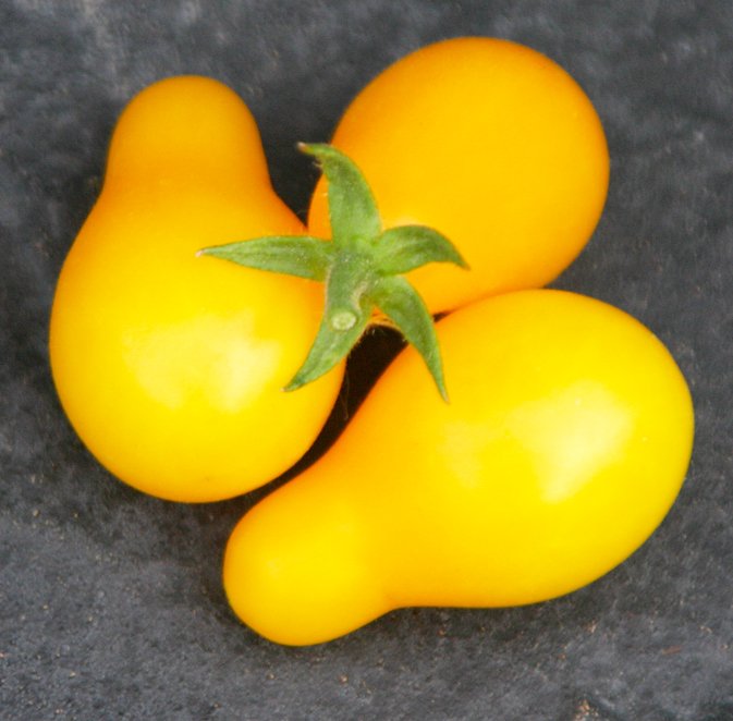 "I say yellow #tomato." — and make it #homegrown!)
Best #summer #fruits &amp; #vegetables