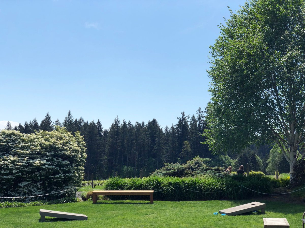 Sunshine &amp; fun times ahead! Will we see you for wine &amp; good times on the 4th? Pouring 11-7 daily (including tomorrow!) #HawksViewWinery