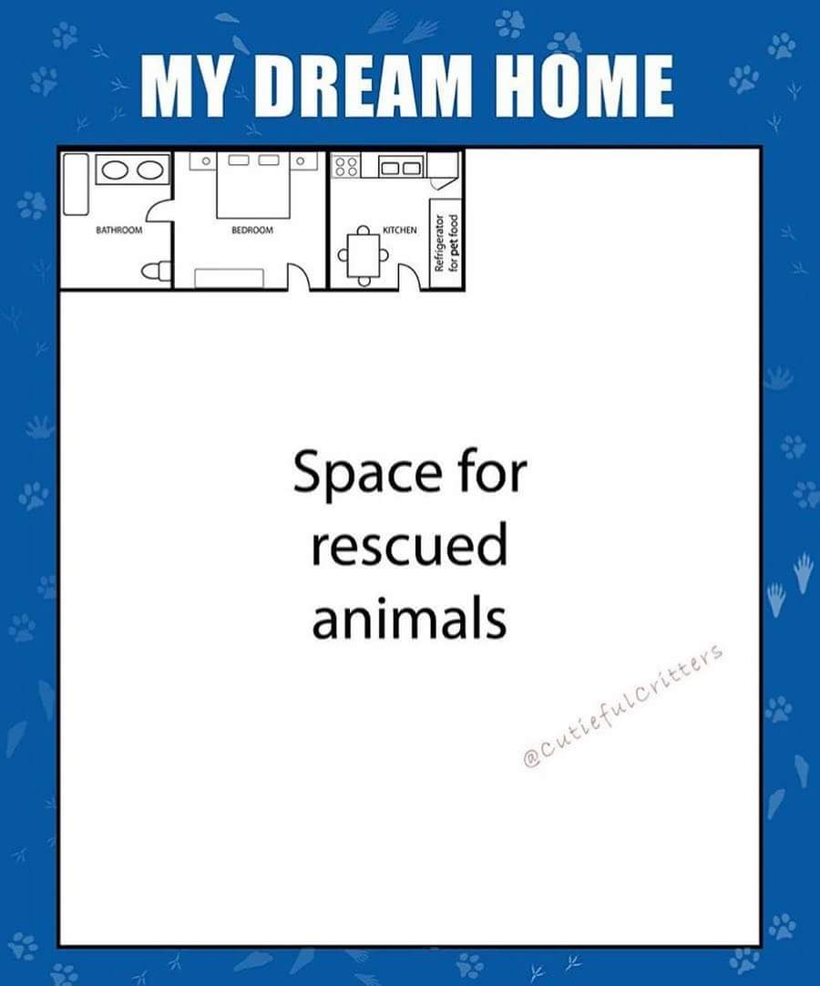LittlestLives's tweet photo. True story https://t.co/cY2ukNIDtp