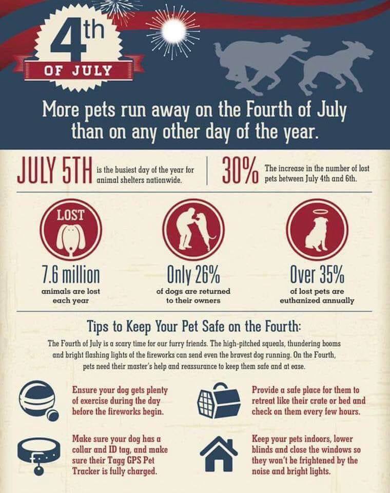 Ben_Lee1024's tweet photo. Info regarding pets and the 4th of July!! https://t.co/D4GQBoHHcM