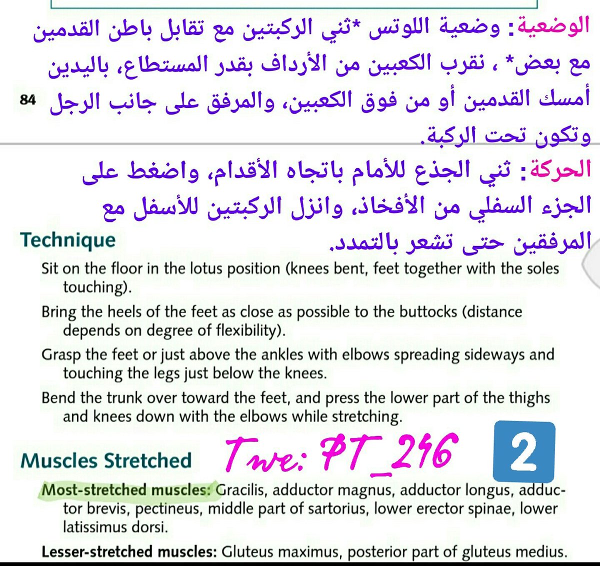 PT_246's tweet photo. Seated hip adductor# #stretch https://t.co/fE8QHqVYef