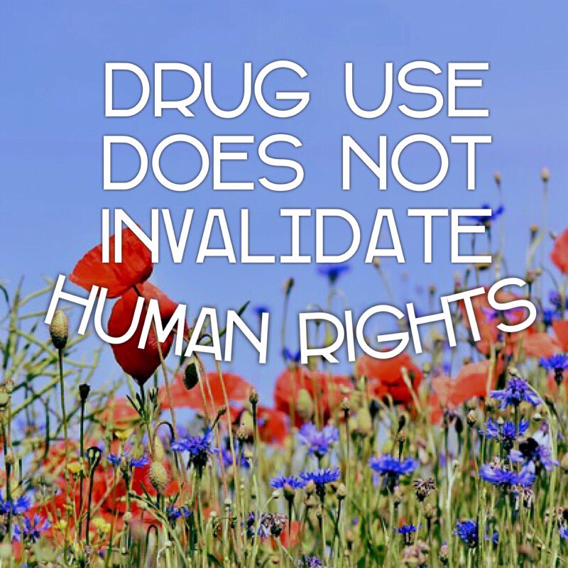 HarmRedux tweet media