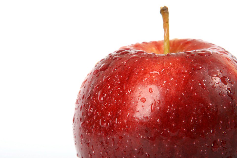 Produce_Safety's tweet photo. Do you use agricultural water on produce? @US_FDA has a new fact sheet on allowed testing methodologies for compliance with the Produce Safety Rule, including presence/absence tests that can be used on postharvest water: https://t.co/Tu4vjpGtO2 https://t.co/8R4ddXO8Th